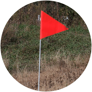 Red field flag in a field